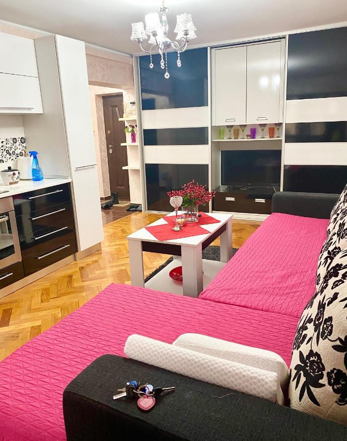 Tribunal Apartament Langa Faleza Dunarii Брэила Экстерьер фото