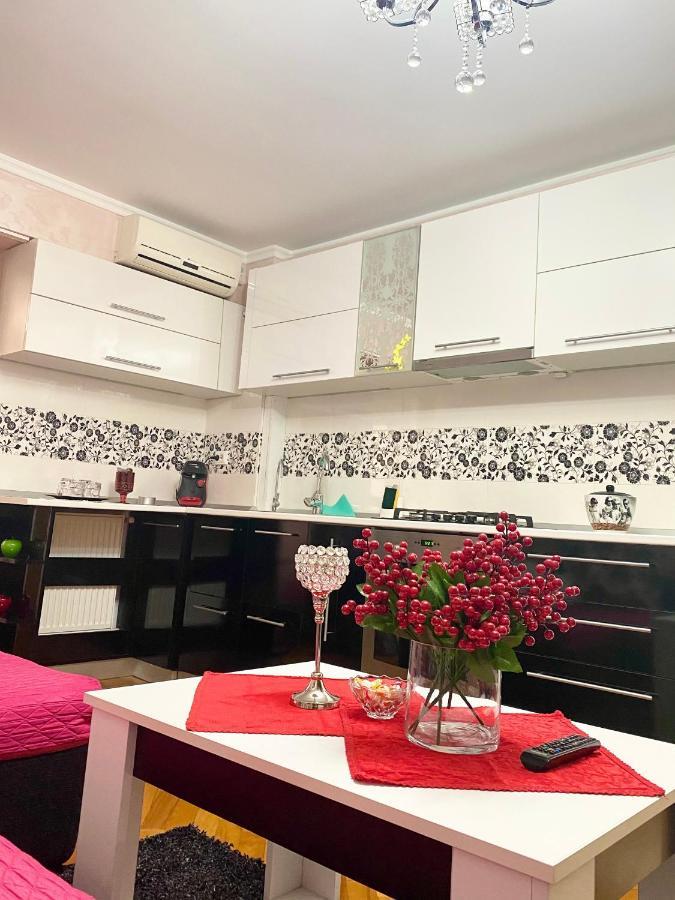 Tribunal Apartament Langa Faleza Dunarii Брэила Экстерьер фото